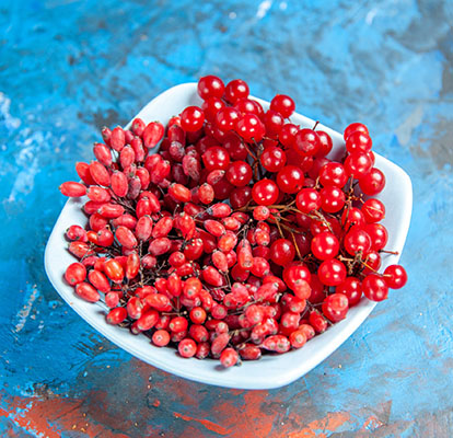 sahoora fresh zereshk 01