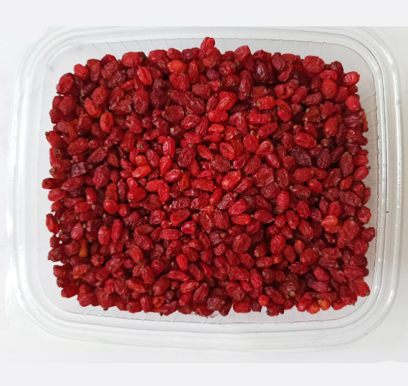 sahoora pofaki zereshk 03